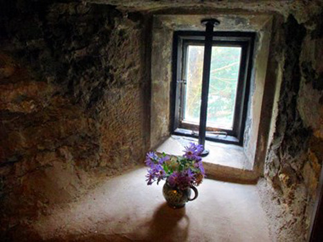 ”Dreaming", Brian Ashworth, Digital Photography, 4608x3456, $300, brian@soitwouldseem.com