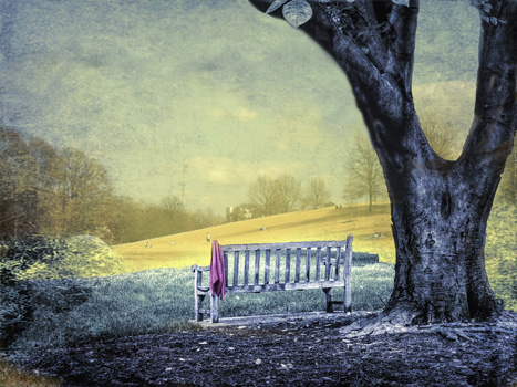 Personal Retreat - Digital Photography - $350