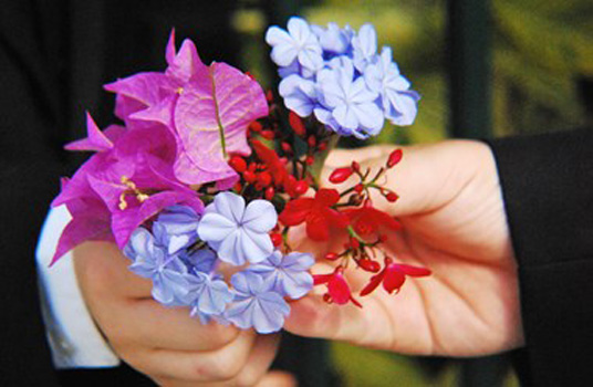 "To a New Paradice", Devon Dixon, Photograph, 3641x2378, NFS, zoamra0292@gmail.com