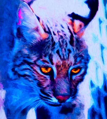 “On the Prowl” - dbJR - Photo on Metal - 24” x 20” - $299 - www.greatdanecollectibles.com/