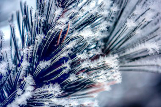 "Icy", Angela Jones, Digital Photography, 12"x16", NFS, http://www.happytreephotography.com/